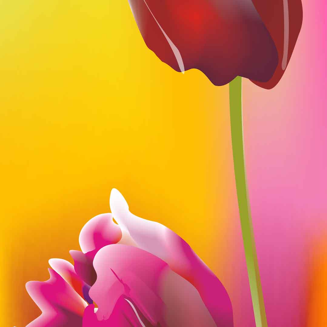 VIPcorel.com_11689c.jpg
