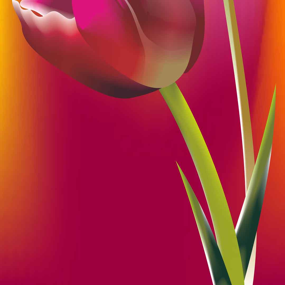 VIPcorel.com_11689d.jpg