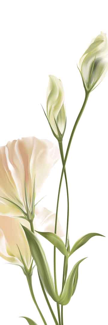 VIPcorel.com_11690a.jpg
