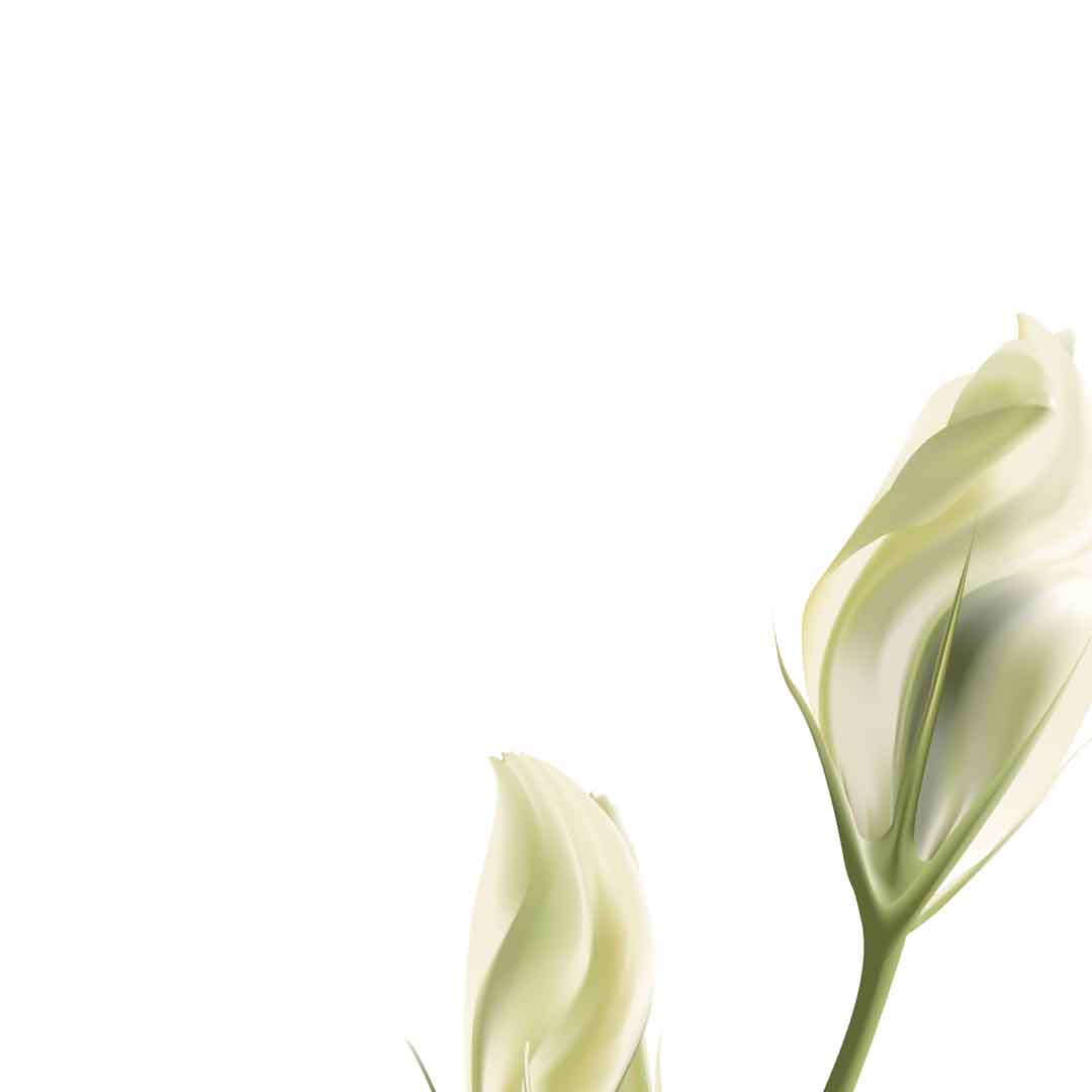 VIPcorel.com_11690b.jpg