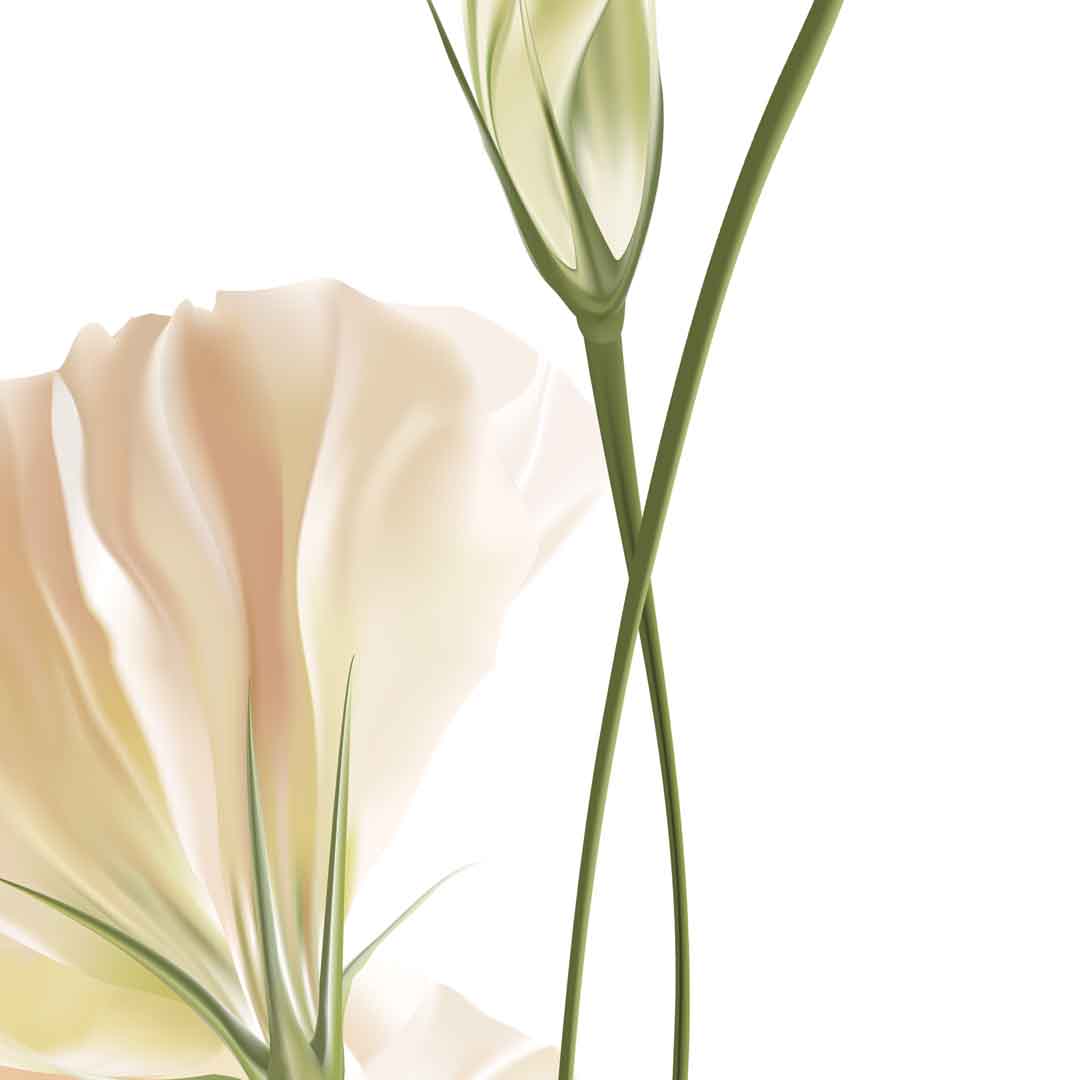 VIPcorel.com_11690c.jpg