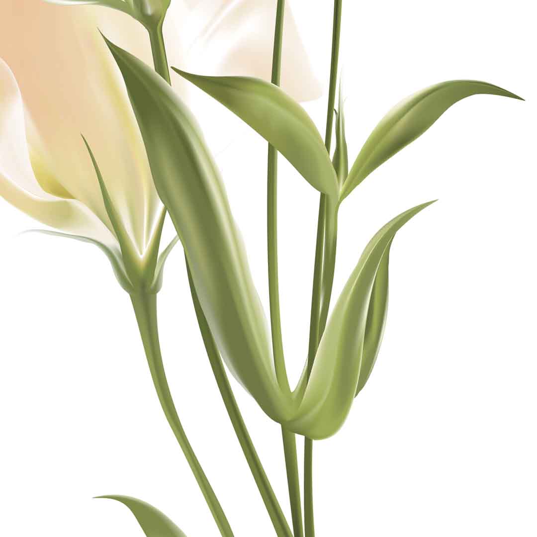 VIPcorel.com_11690d.jpg