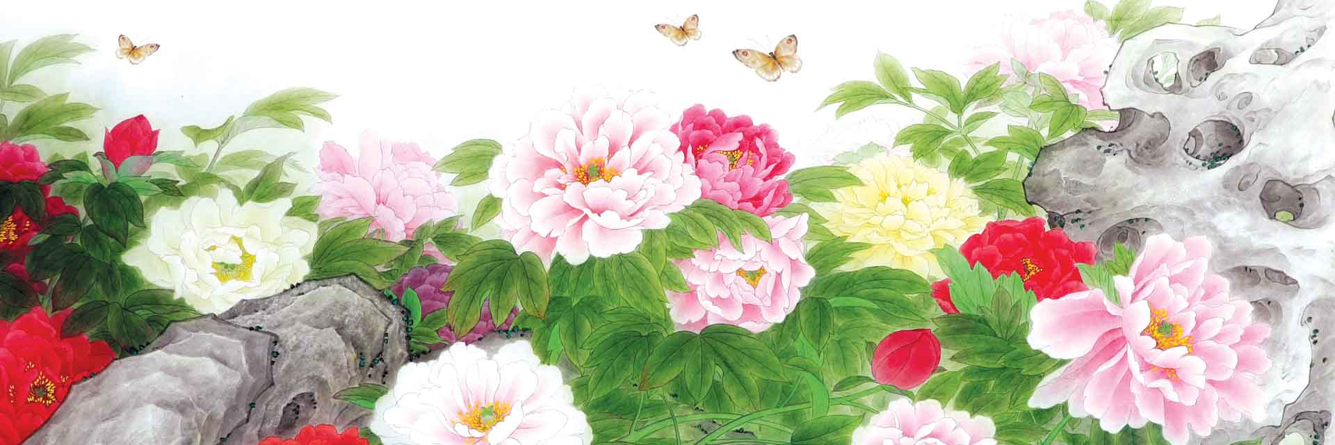 VIPcorel.com_11692a.jpg