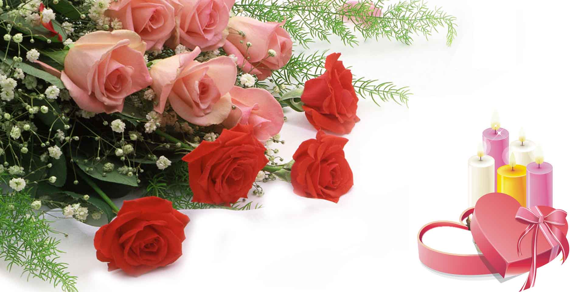 VIPcorel.com_11693a.jpg
