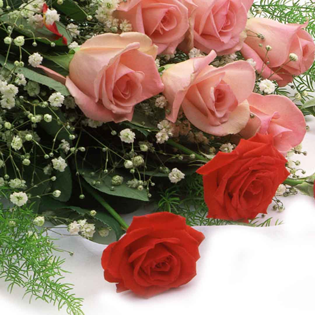 VIPcorel.com_11693b.jpg