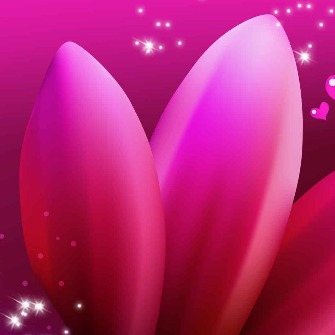 VIPcorel.com_11695c.jpg