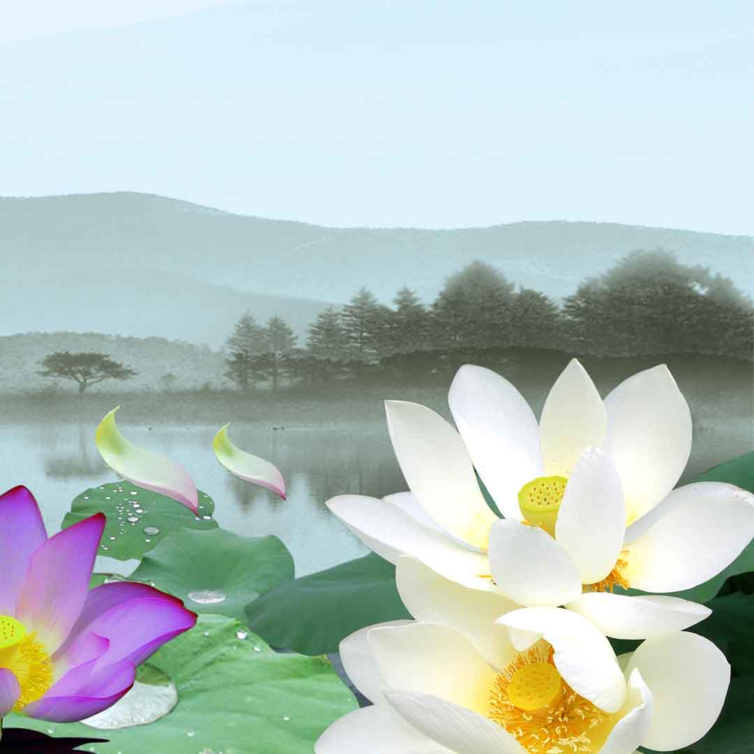 VIPcorel.com_11696c.jpg