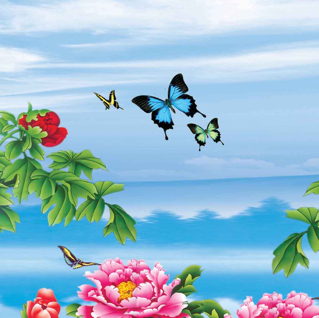 VIPcorel.com_11698c.jpg