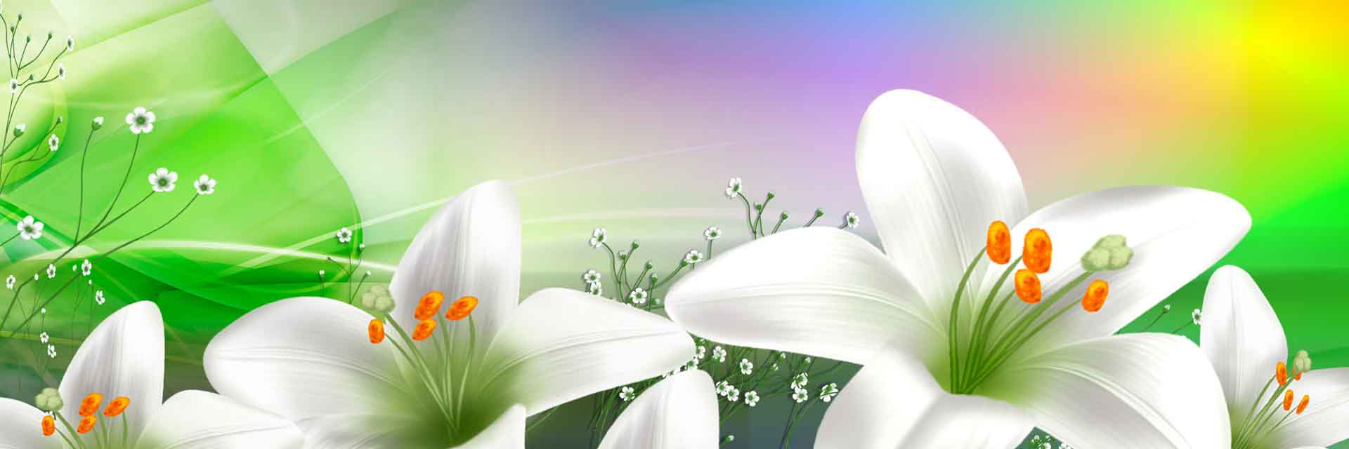 VIPcorel.com_11699a.jpg