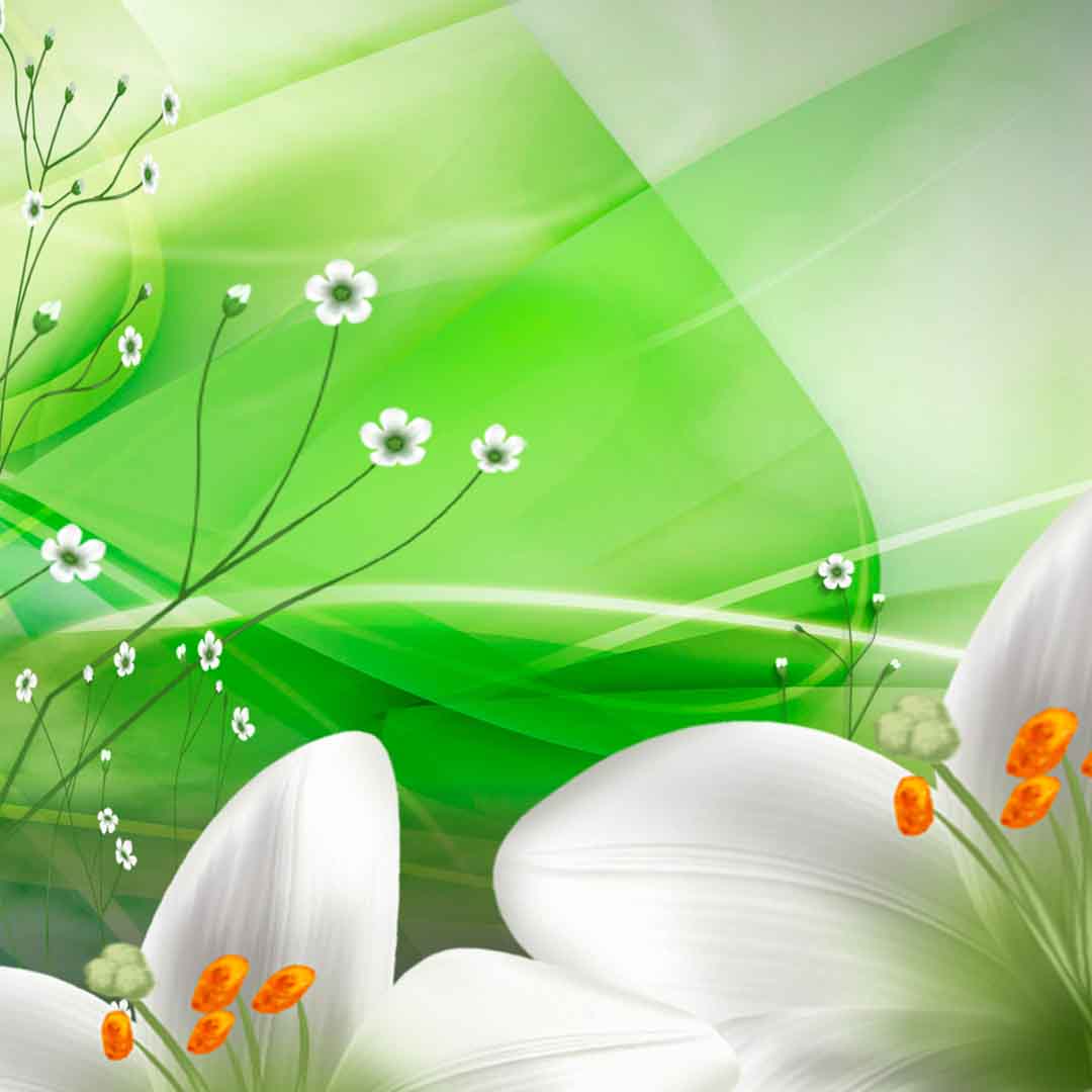VIPcorel.com_11699b.jpg
