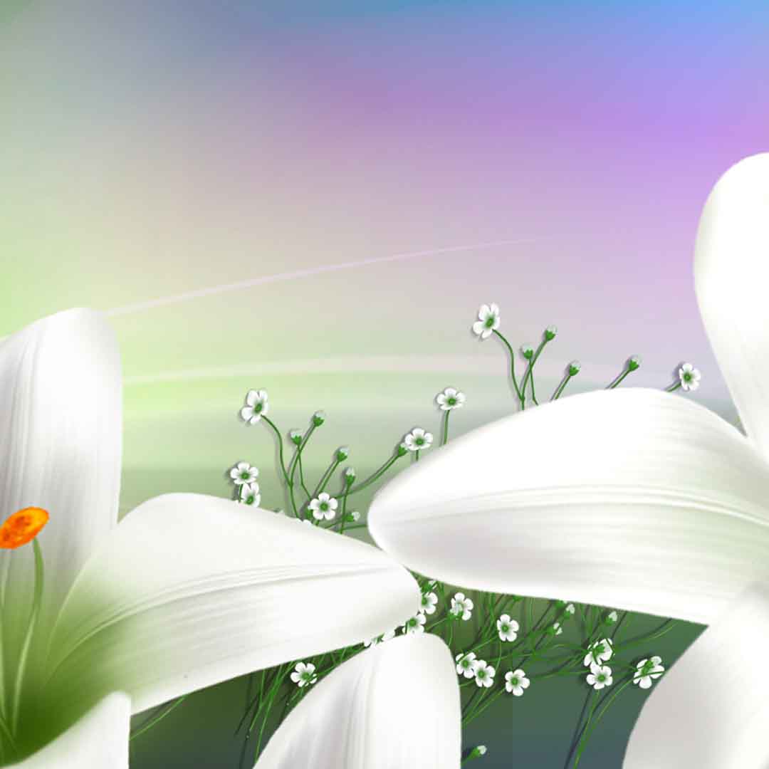 VIPcorel.com_11699c.jpg