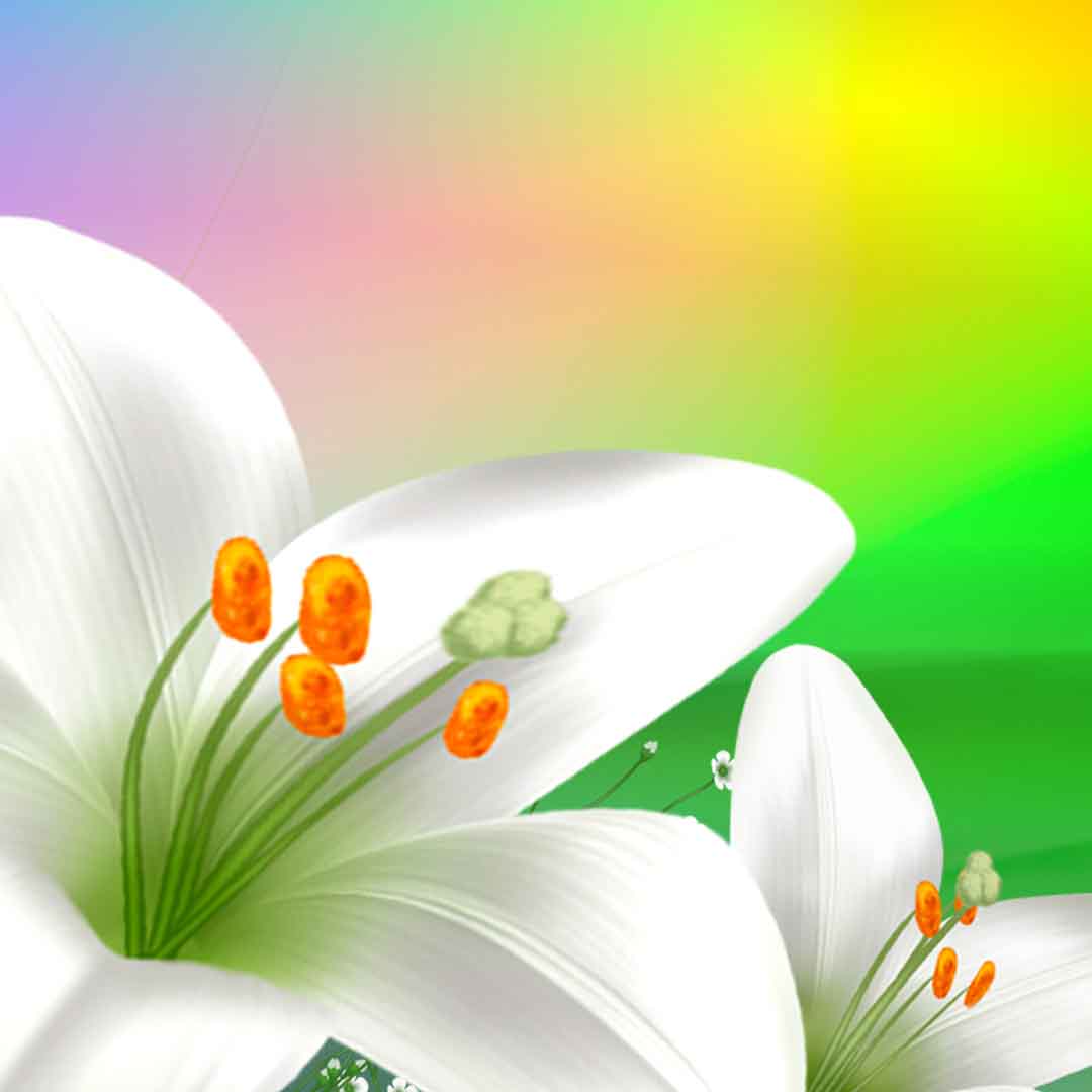 VIPcorel.com_11699d.jpg
