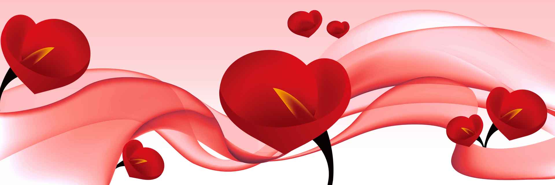 VIPcorel.com_11700a.jpg