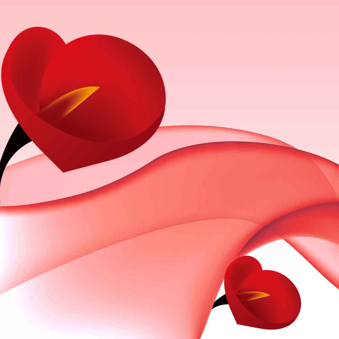VIPcorel.com_11700b.jpg