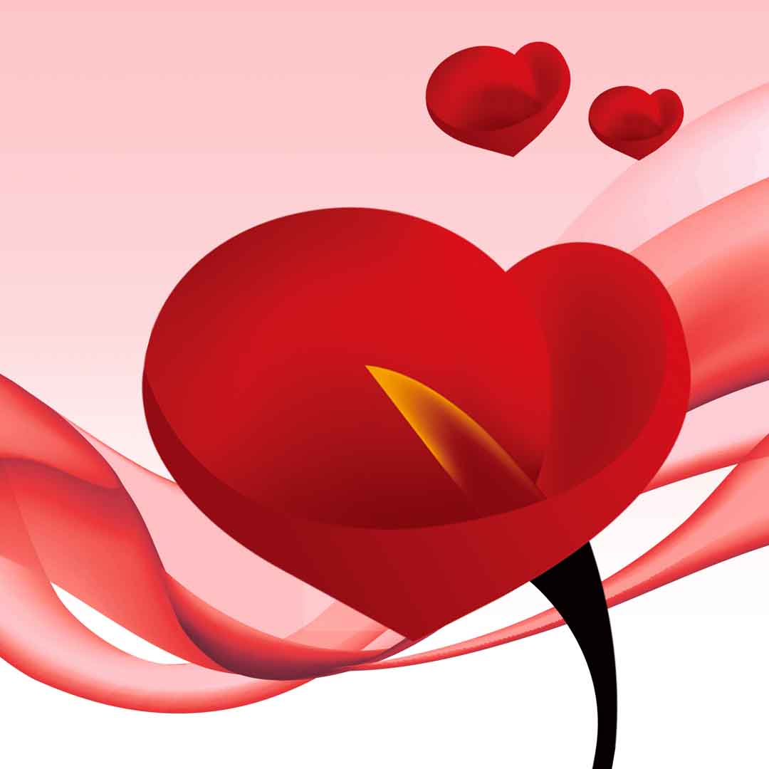 VIPcorel.com_11700c.jpg