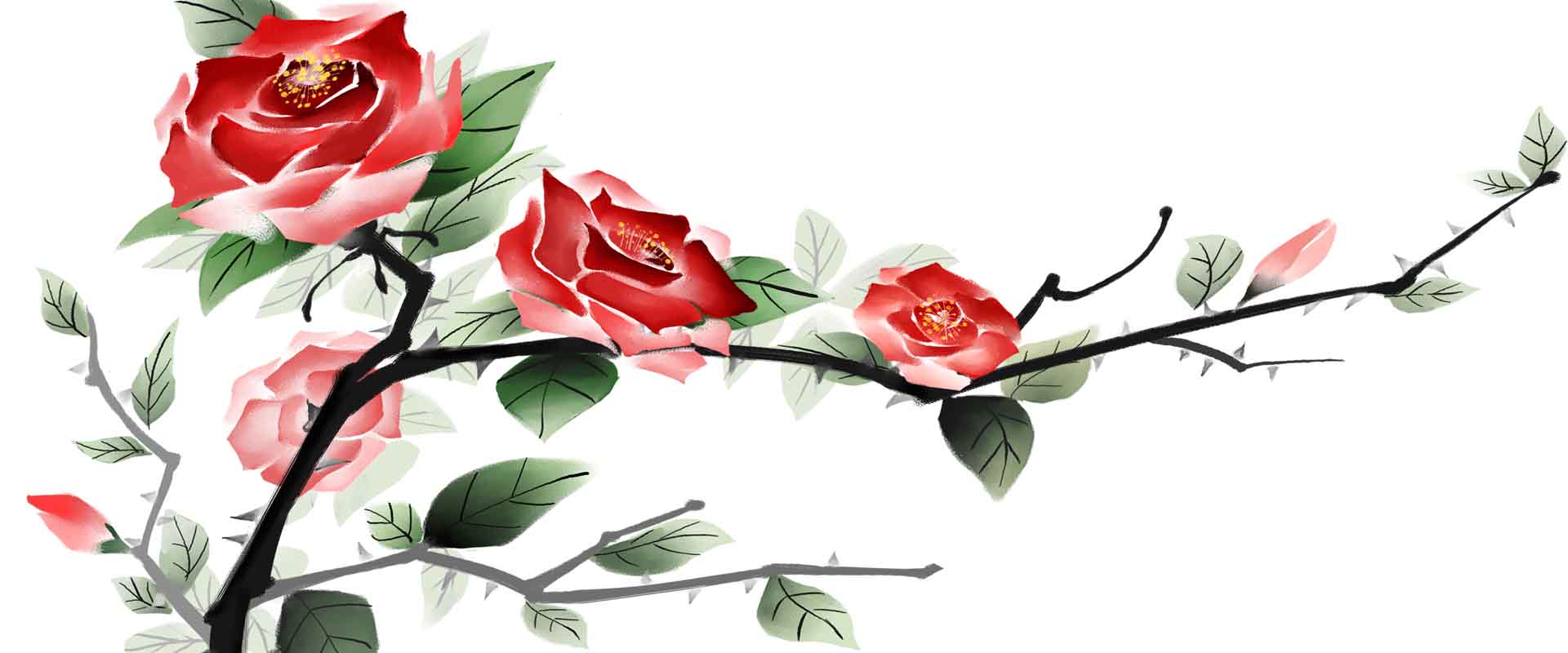 VIPcorel.com_11701a.jpg