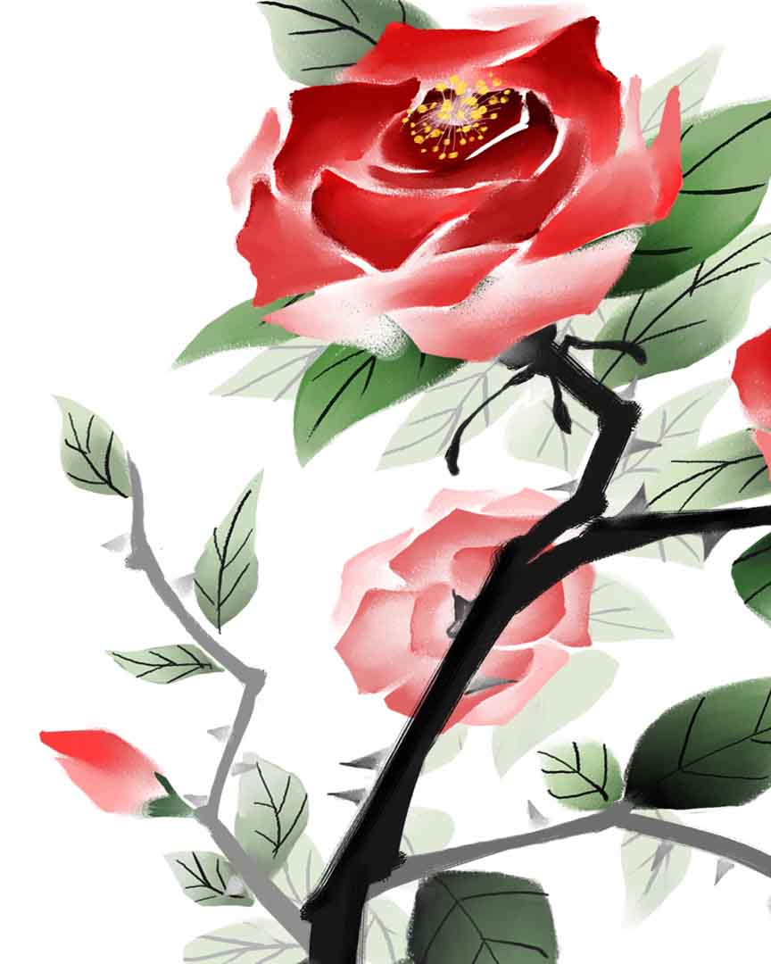 VIPcorel.com_11701b.jpg