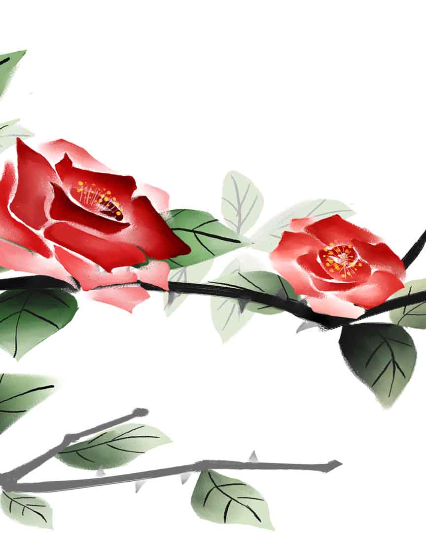 VIPcorel.com_11701c.jpg