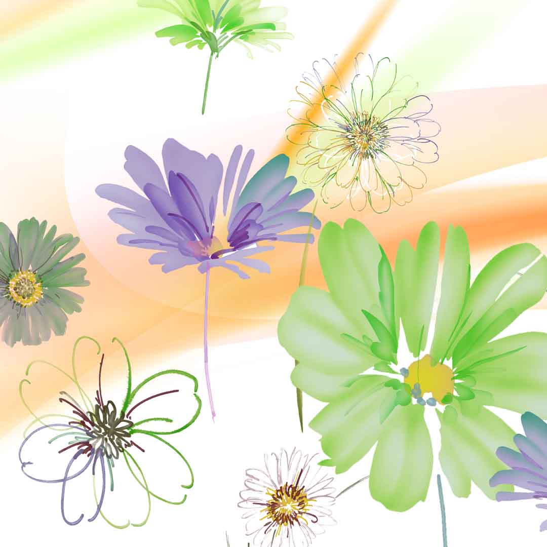VIPcorel.com_11702b.jpg