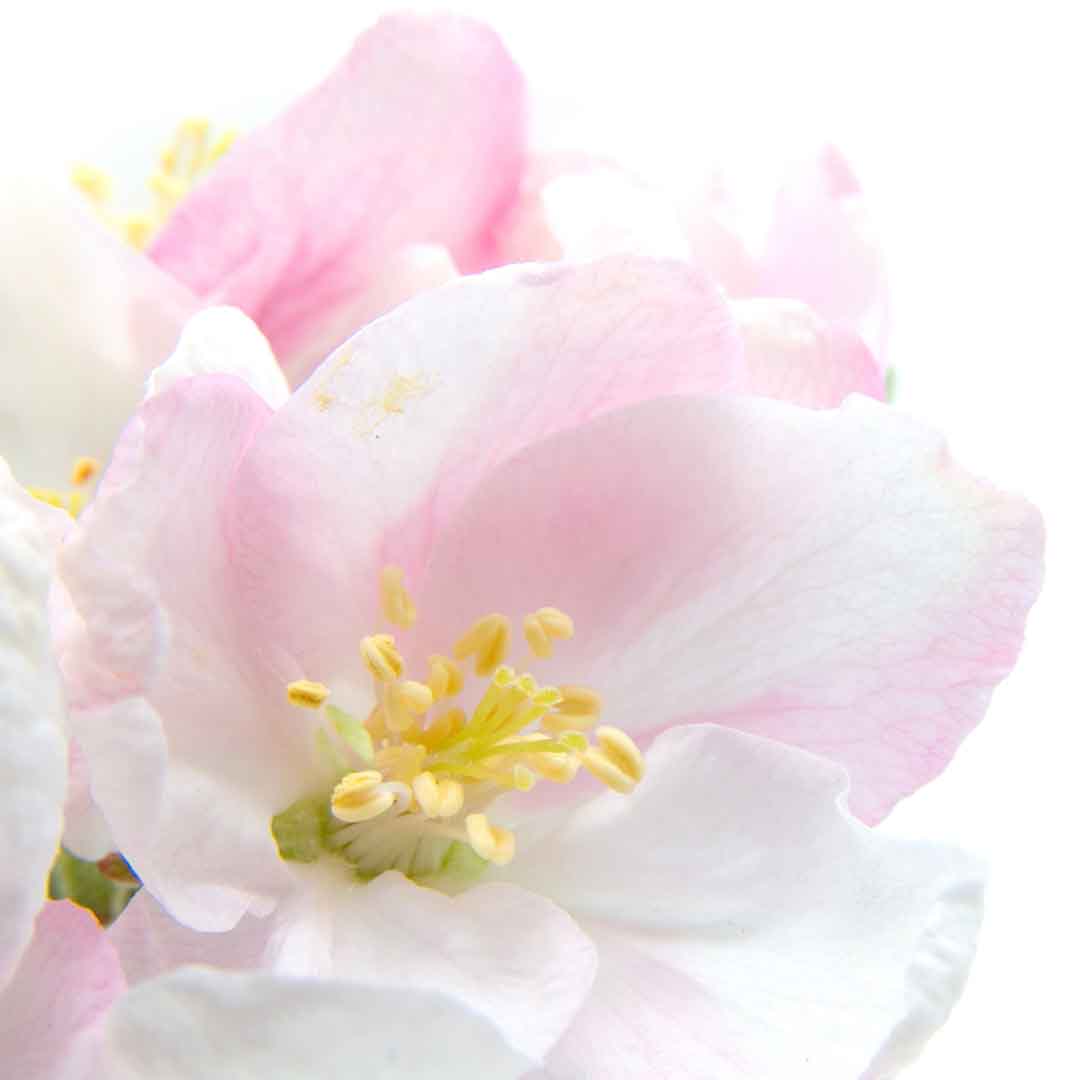 VIPcorel.com_11704a.jpg
