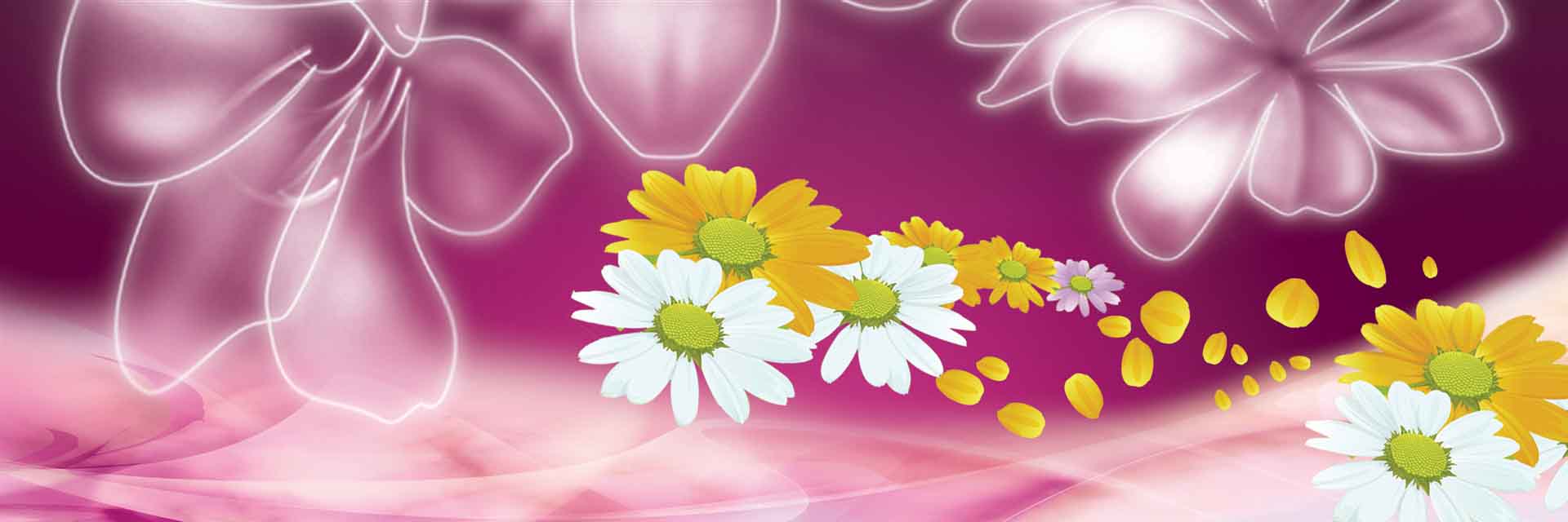 VIPcorel.com_11705a.jpg