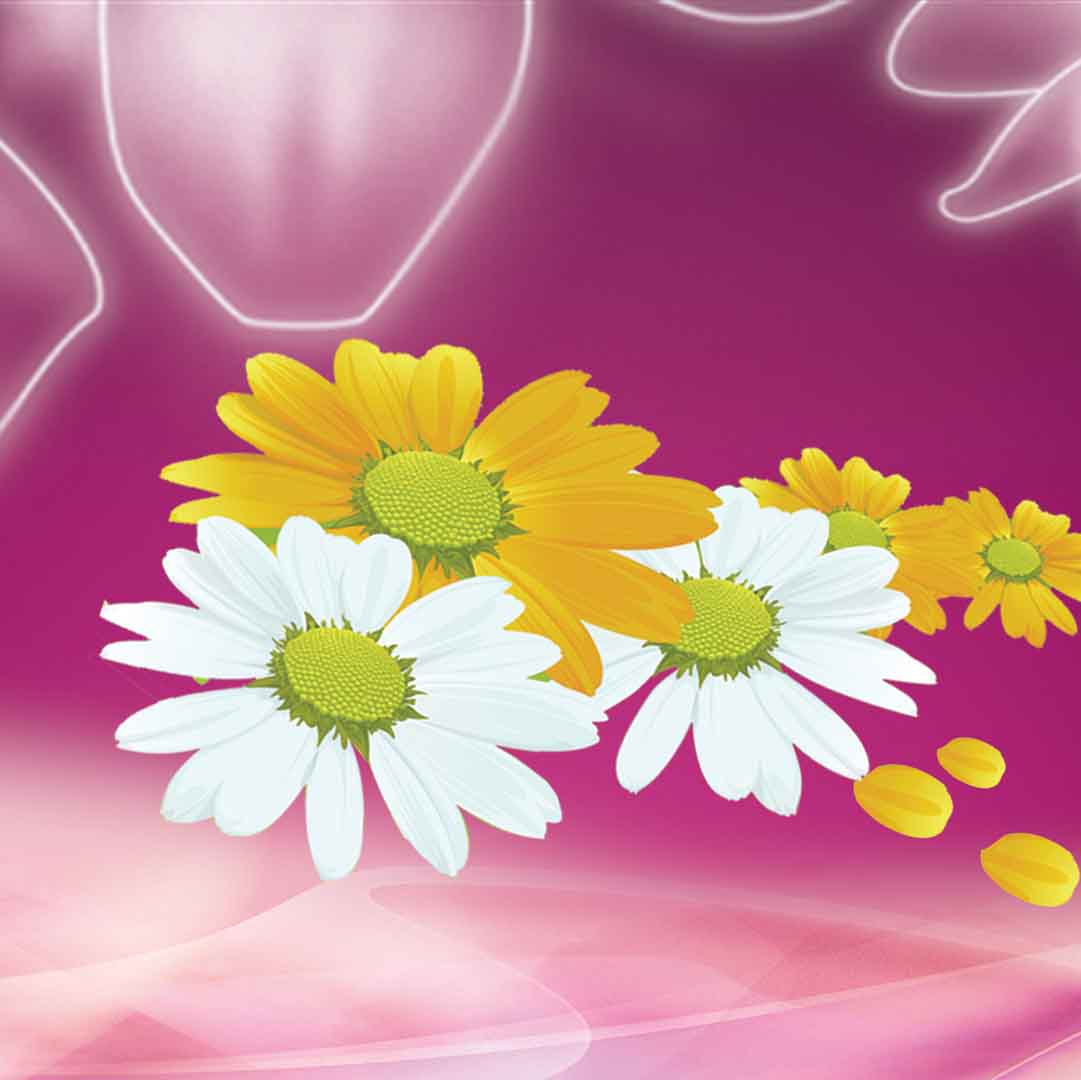 VIPcorel.com_11705c.jpg