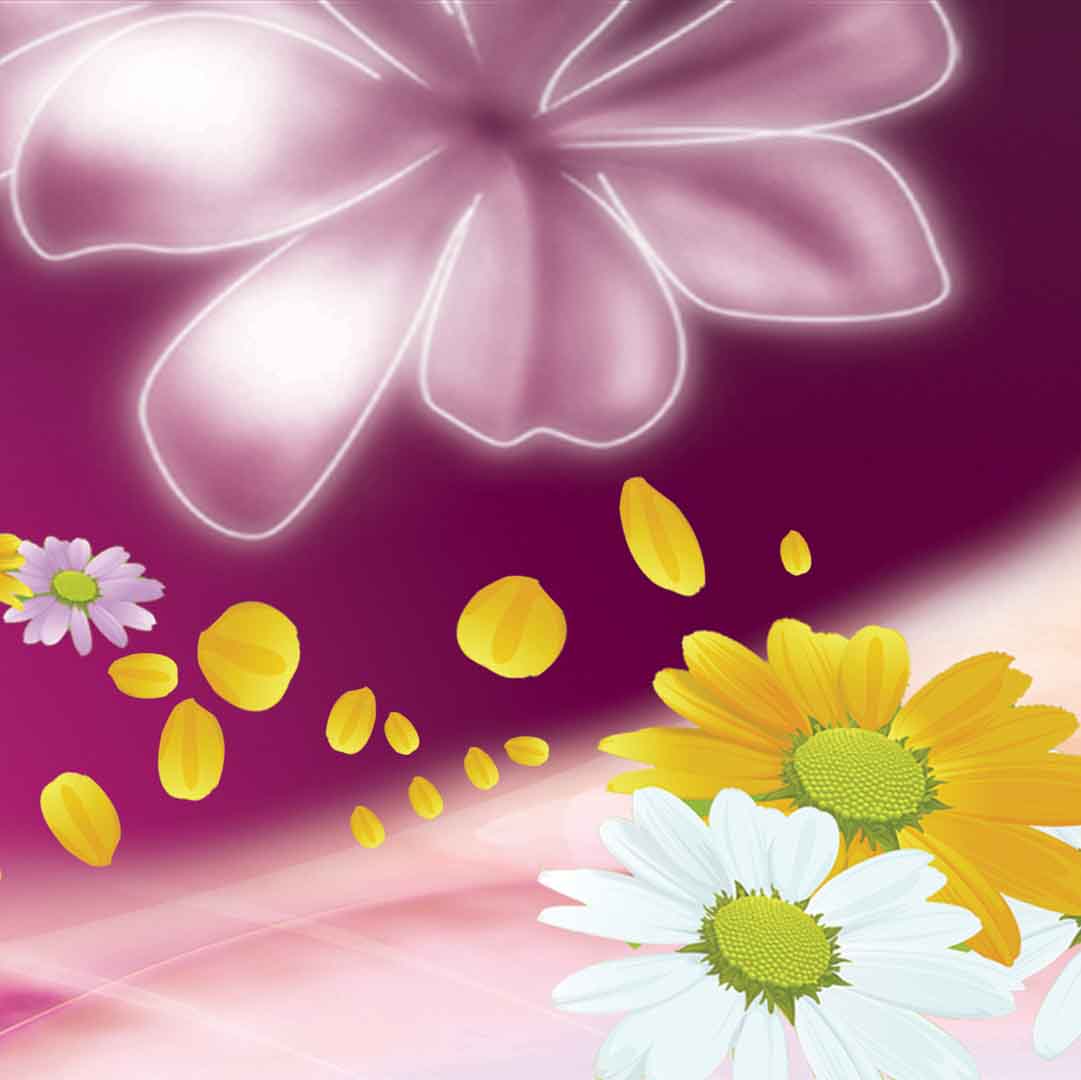 VIPcorel.com_11705d.jpg