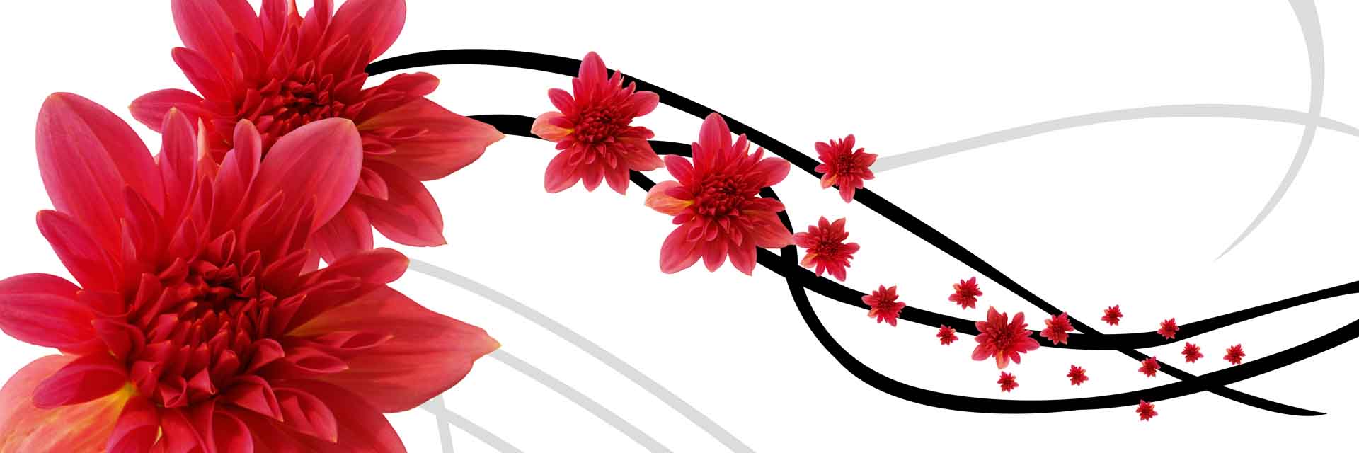 VIPcorel.com_11706a.jpg