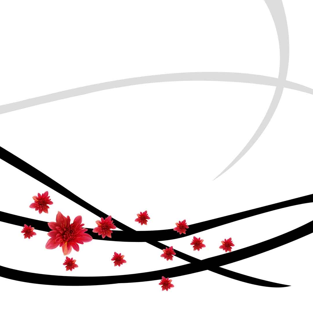 VIPcorel.com_11706d.jpg