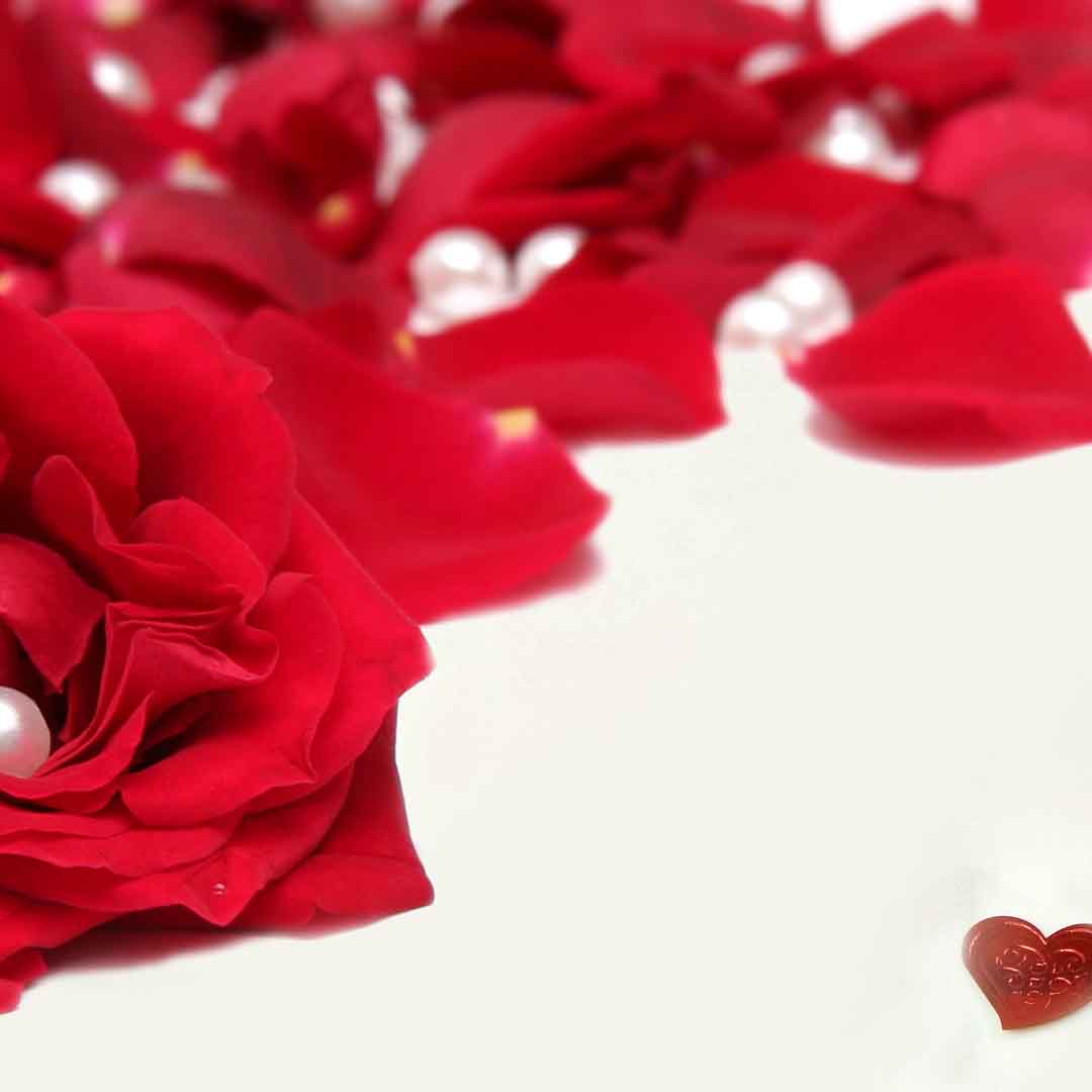VIPcorel.com_11709c.jpg