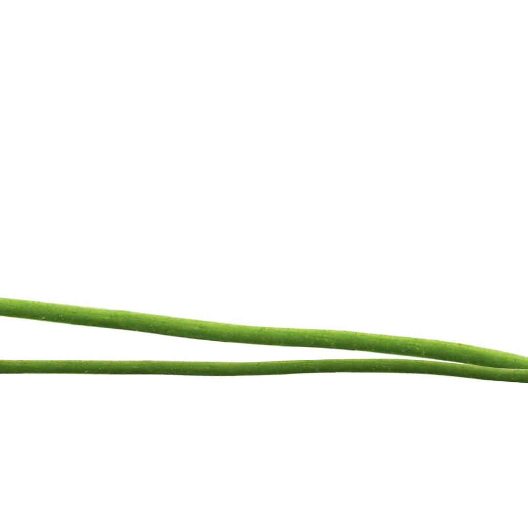 VIPcorel.com_11710b.jpg