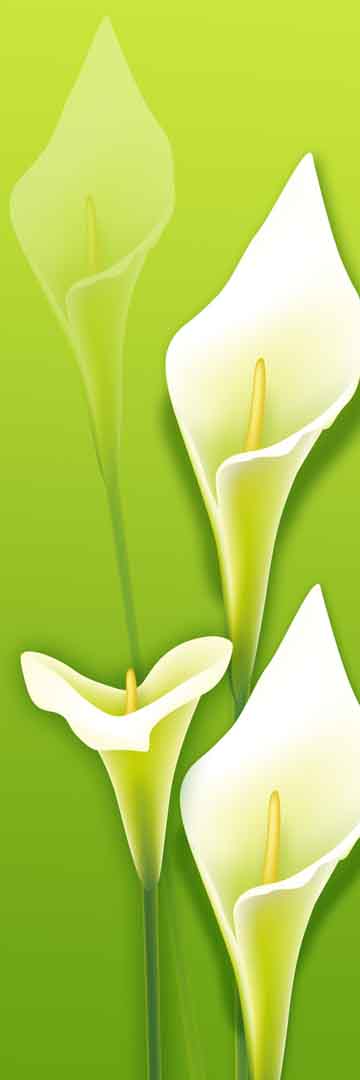 VIPcorel.com_11712a.jpg