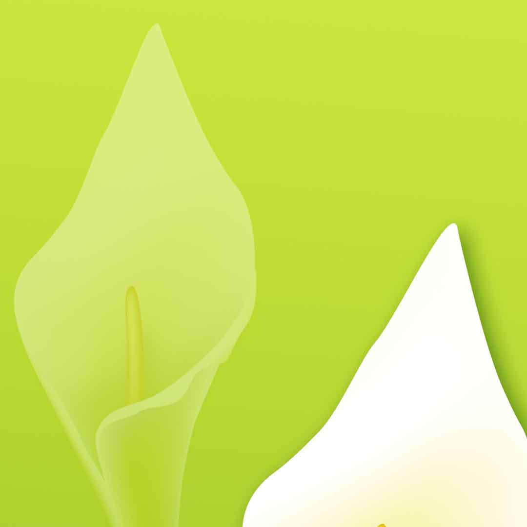 VIPcorel.com_11712b.jpg