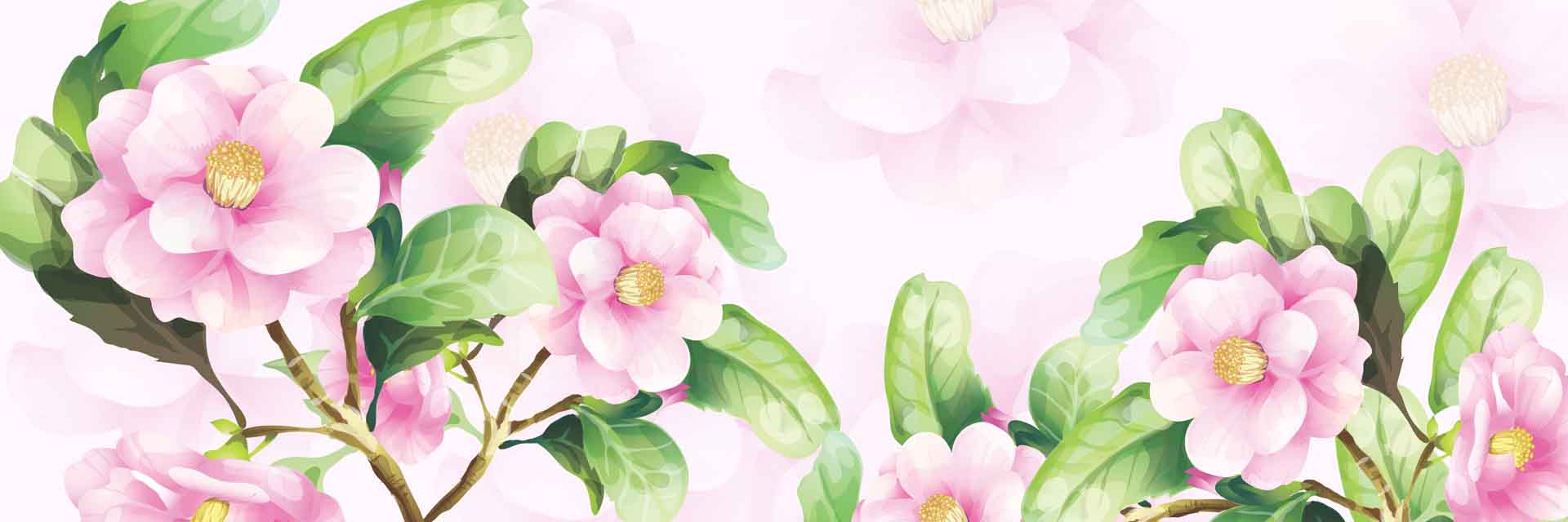 VIPcorel.com_11713a.jpg