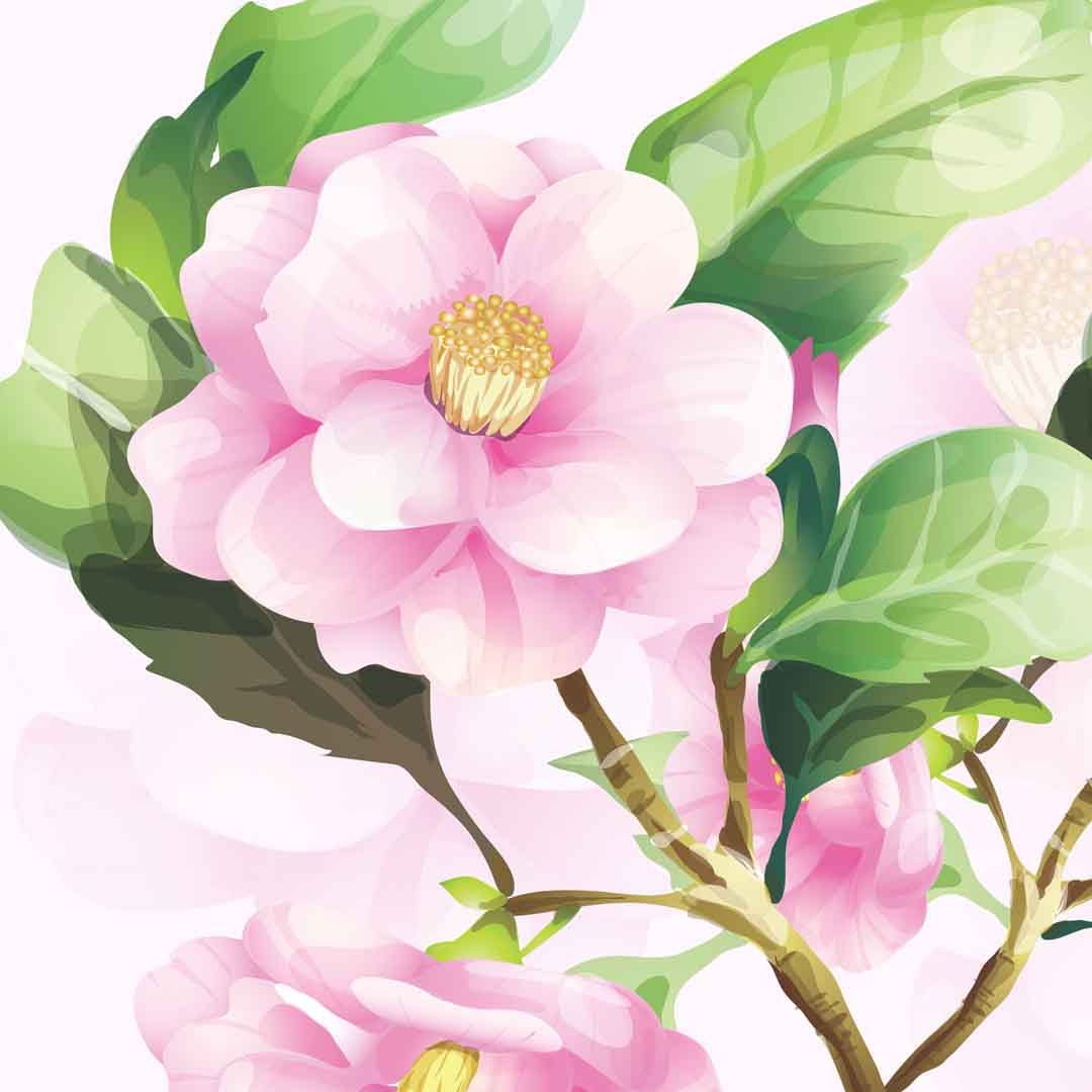 VIPcorel.com_11713b.jpg