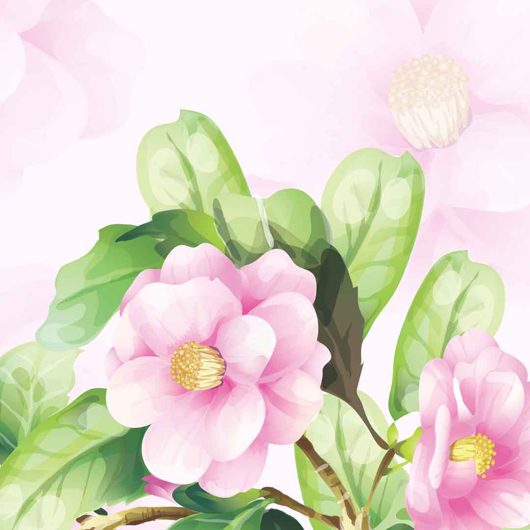 VIPcorel.com_11713d.jpg