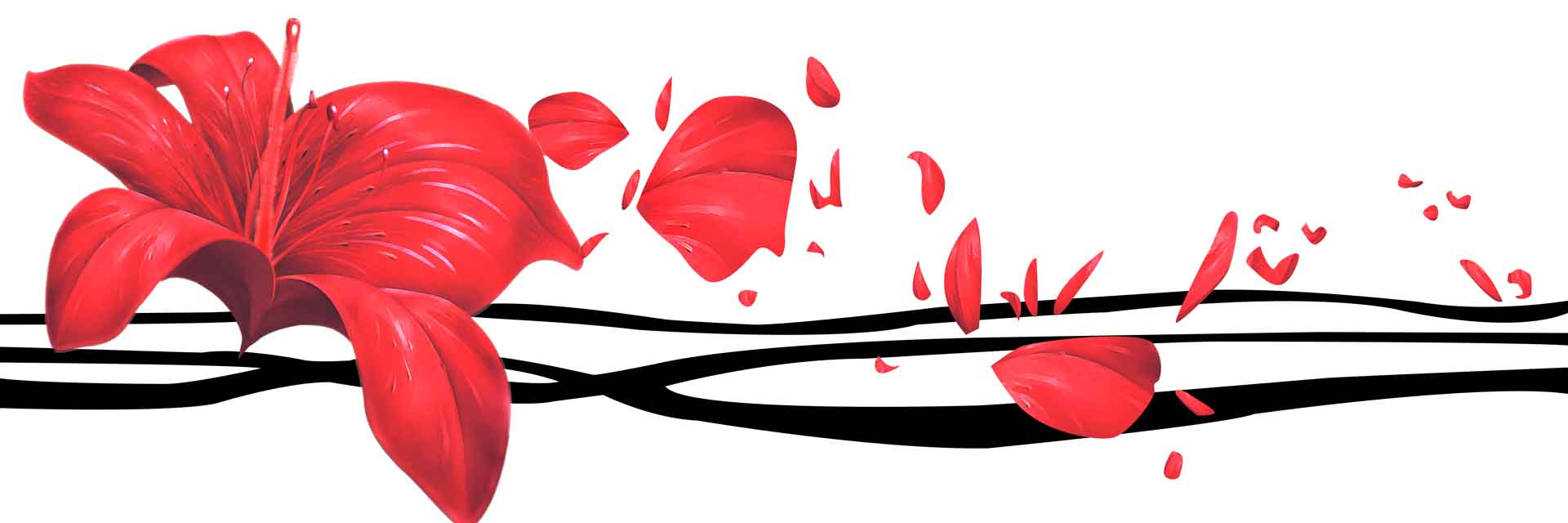 VIPcorel.com_11714.jpg