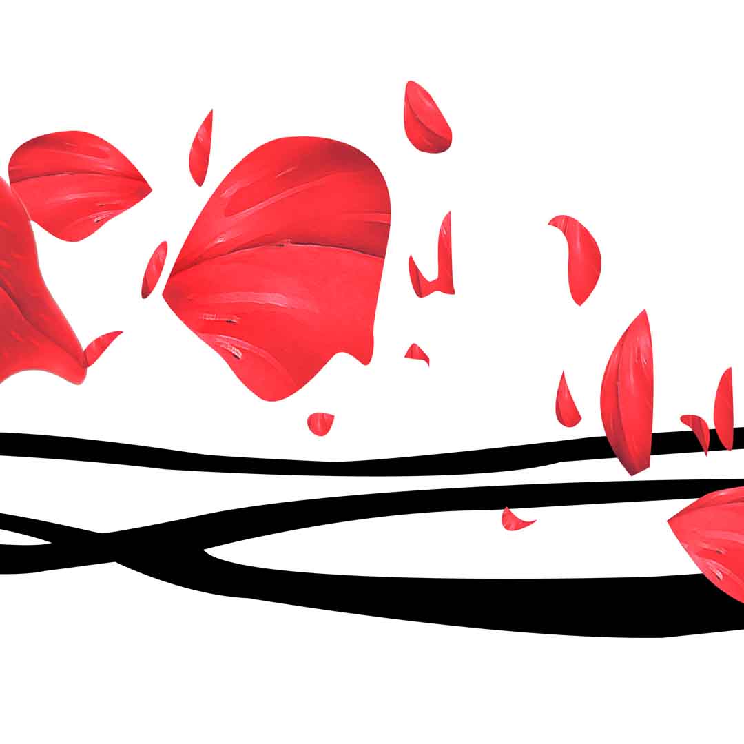 VIPcorel.com_11714b.jpg