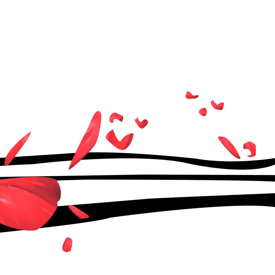 VIPcorel.com_11714c.jpg