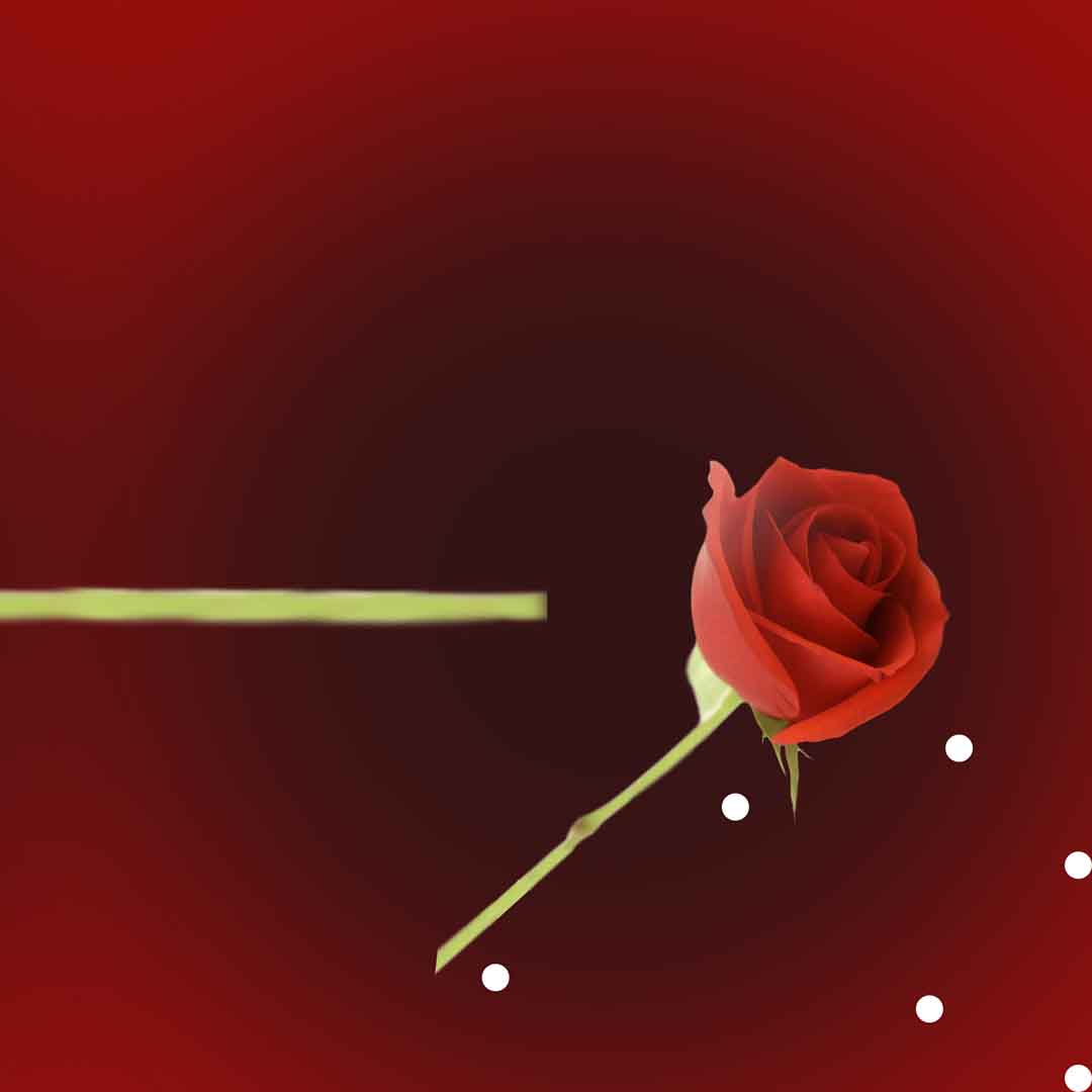 VIPcorel.com_11716d.jpg