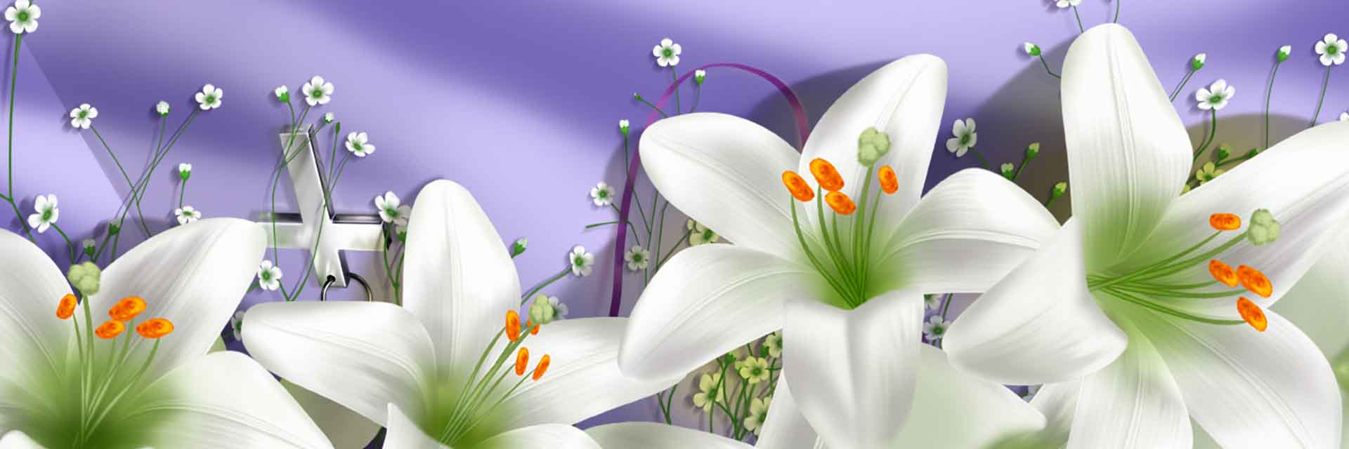 VIPcorel.com_11717a.jpg