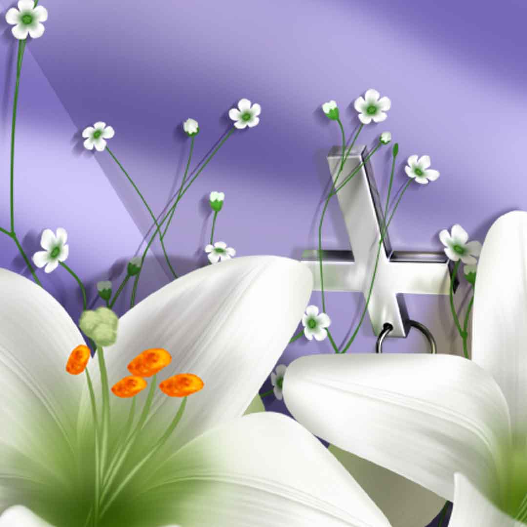 VIPcorel.com_11717b.jpg