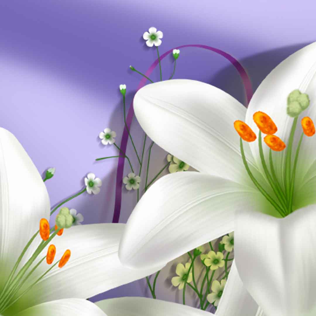 VIPcorel.com_11717c.jpg