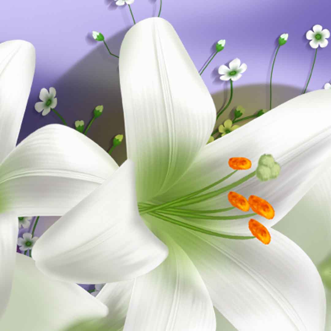 VIPcorel.com_11717d.jpg