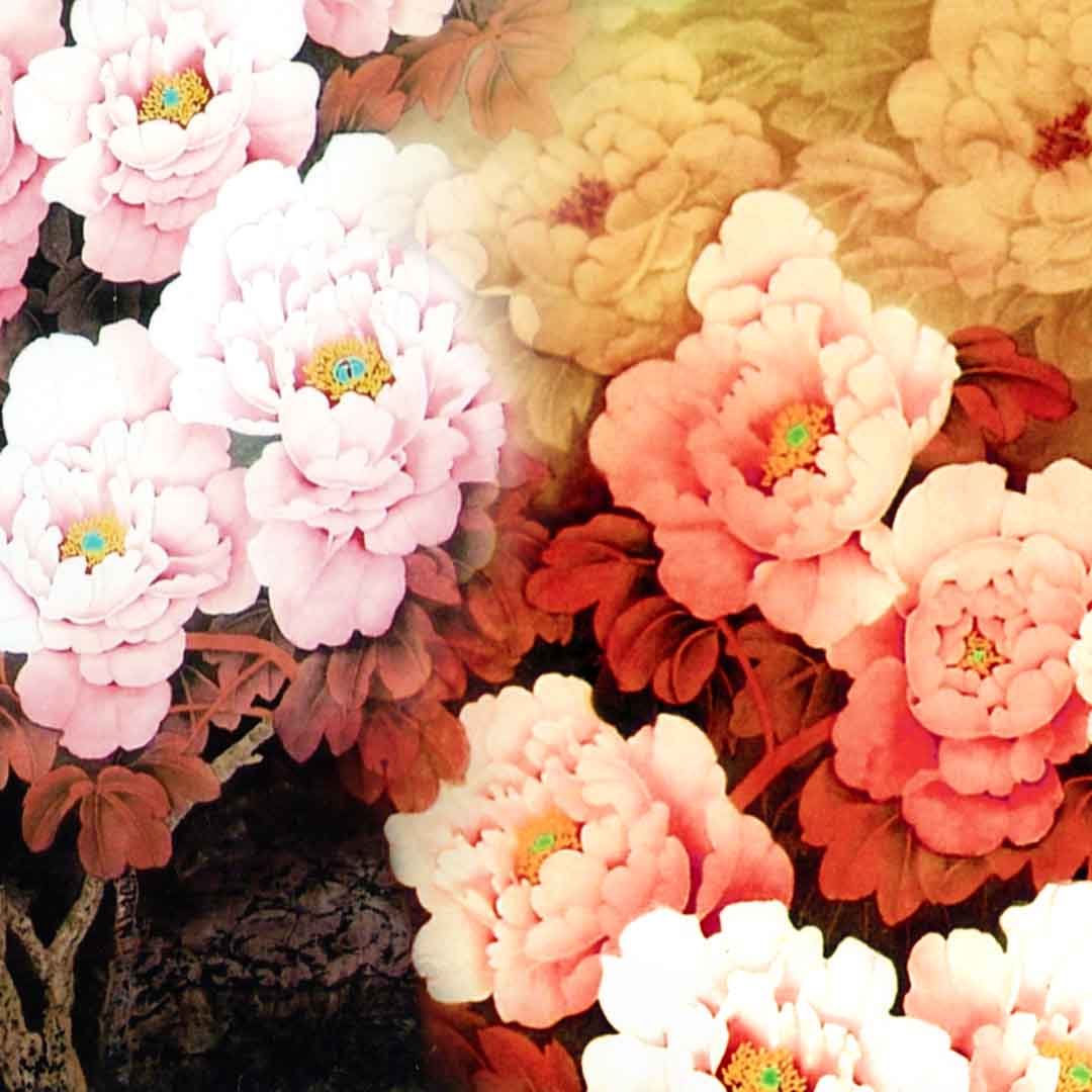 VIPcorel.com_11718c.jpg