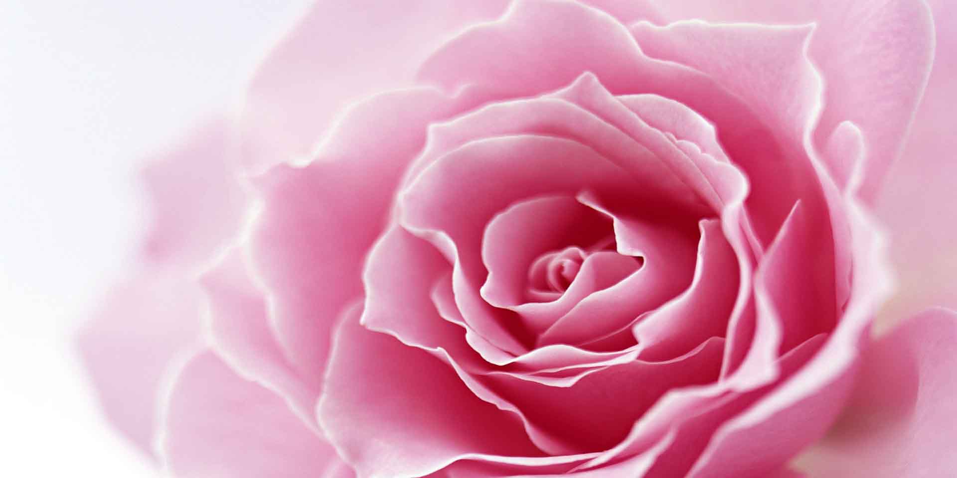 VIPcorel.com_11721a.jpg