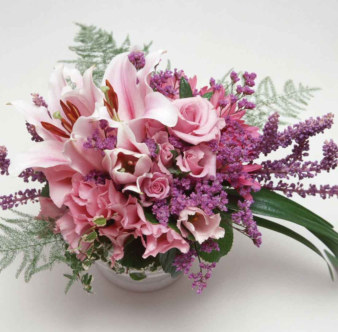 VIPcorel.com_11722a.jpg