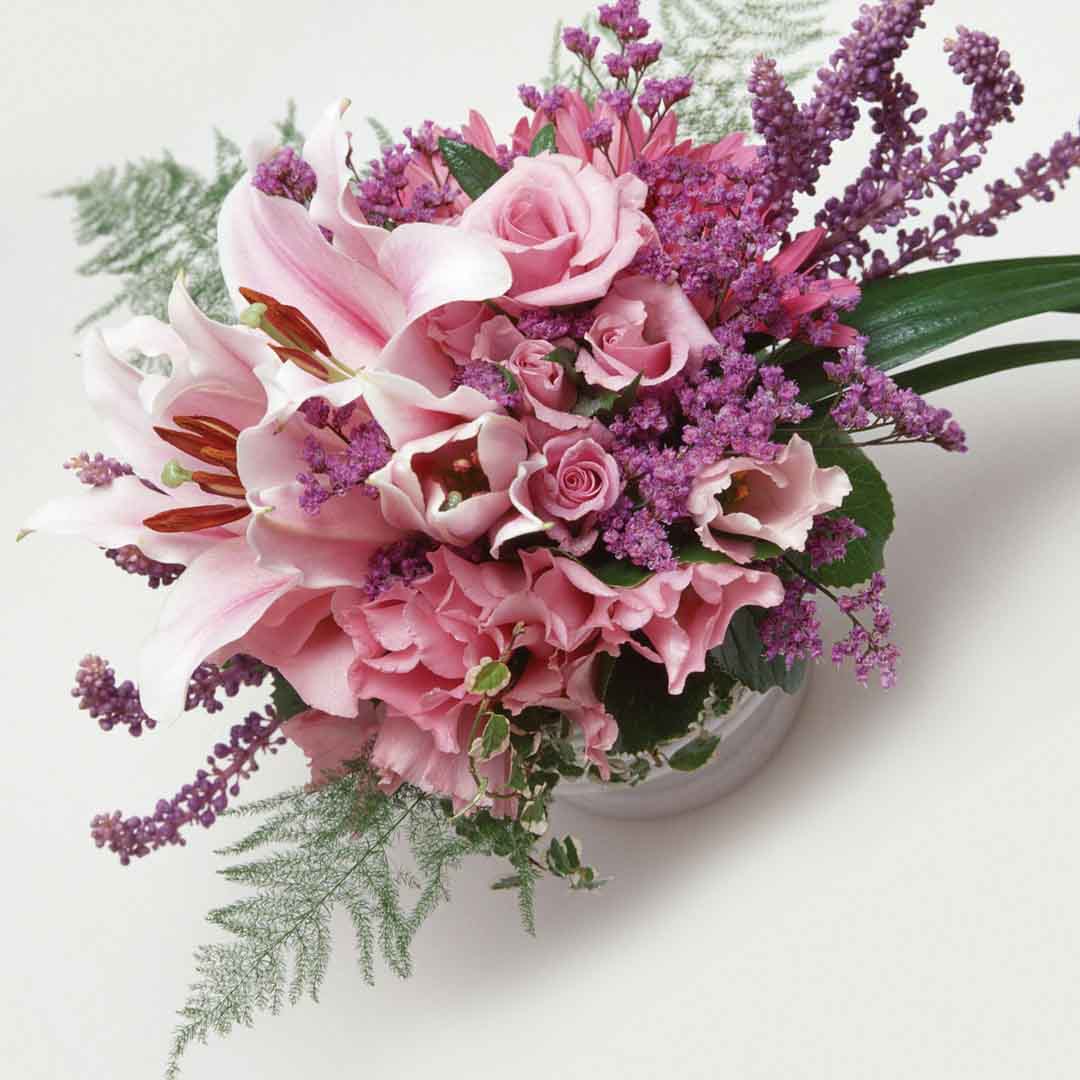 VIPcorel.com_11722b.jpg