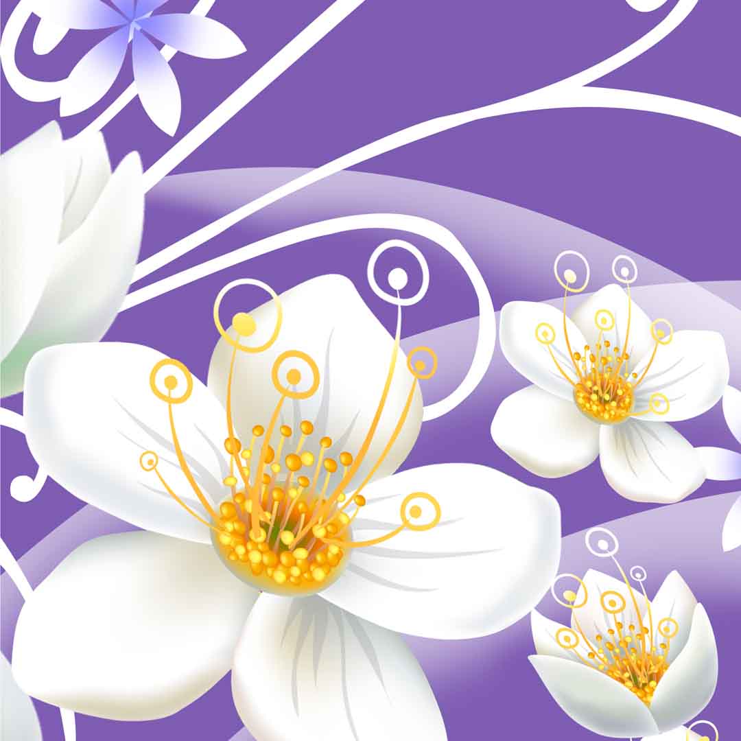 VIPcorel.com_11723b.jpg