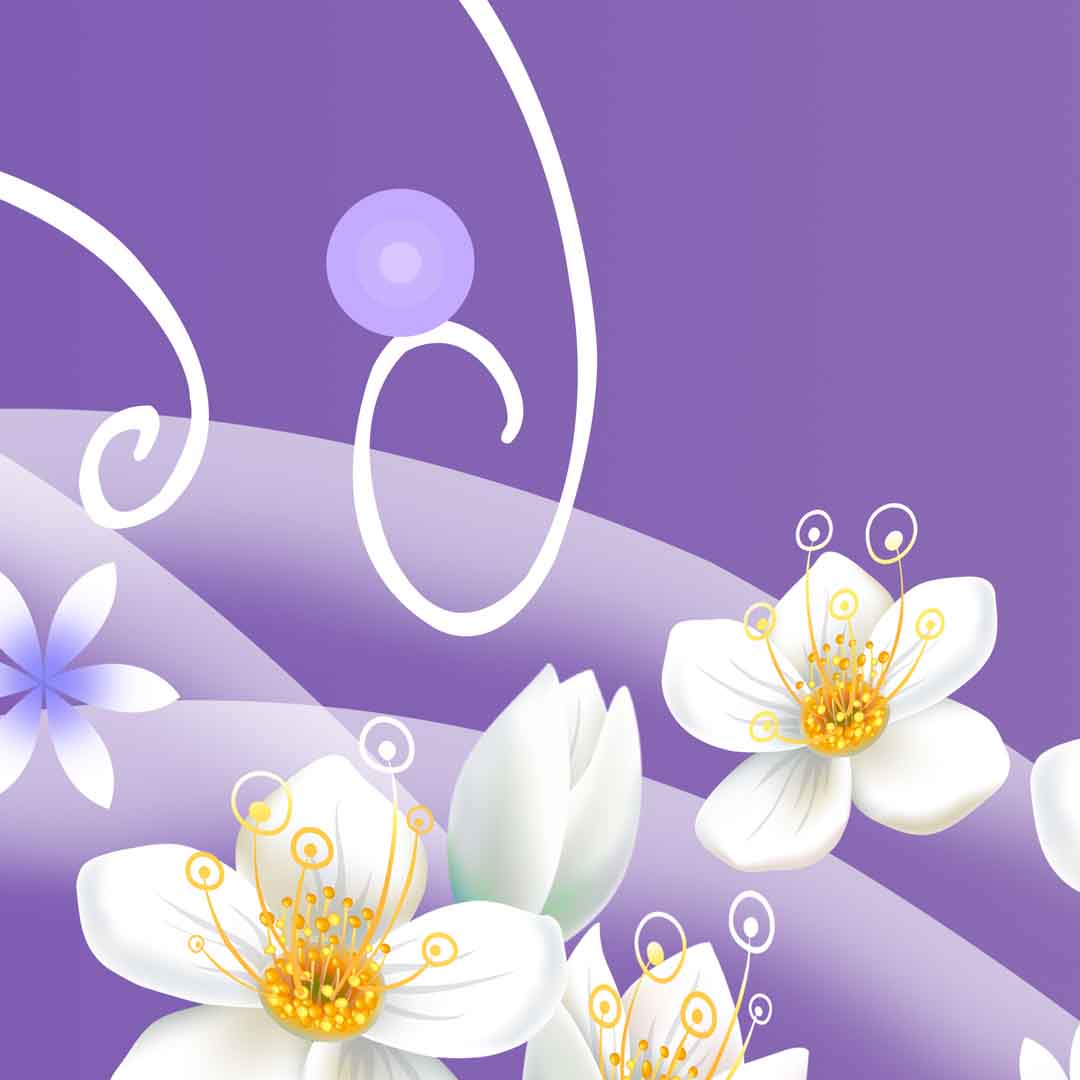 VIPcorel.com_11723c.jpg